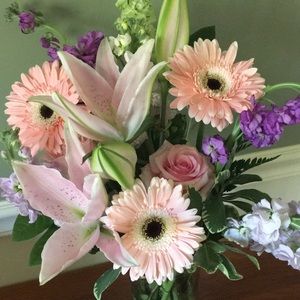 Meet your Posher, Lisa